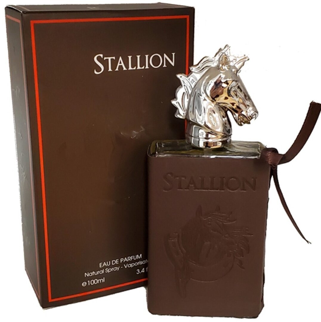 eau de toilette homme 100ml FC Stallion