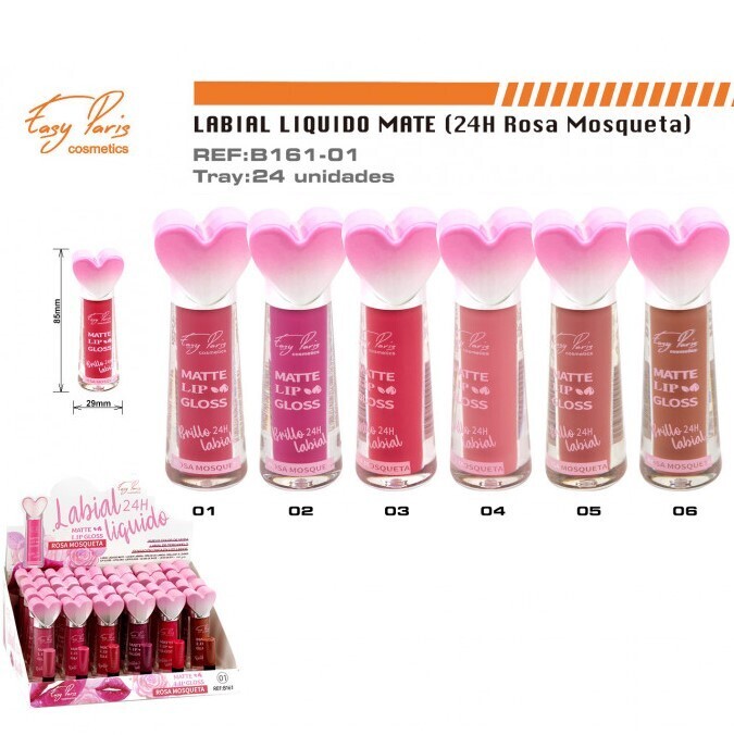 BRILLO LABIAL(0,80 € UNIDAD) PACK 24 EASY PARIS