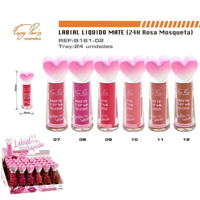 BRILLO LABIAL(0,80 € UNIDAD) PACK 24 EASY PARIS